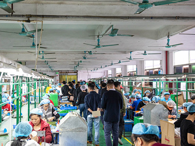 ���������ܽ�-��������