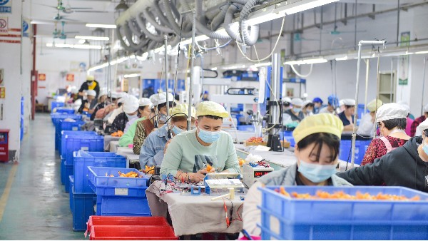 �ܽ���Ʒ����Ӳ�Ʒһվʽ�ӹ���������