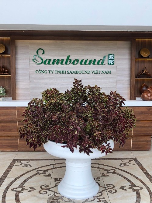 ��Խ�ϵ��й�ע�ܳ��������������г�����