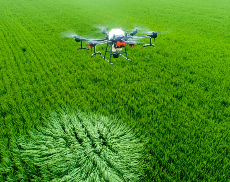 ΢�Ž�ͼ_20250214151450