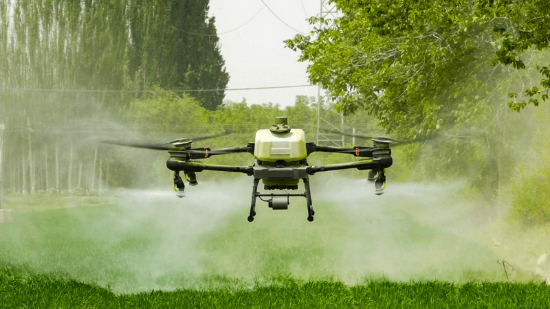 ΢�Ž�ͼ_20250214151610