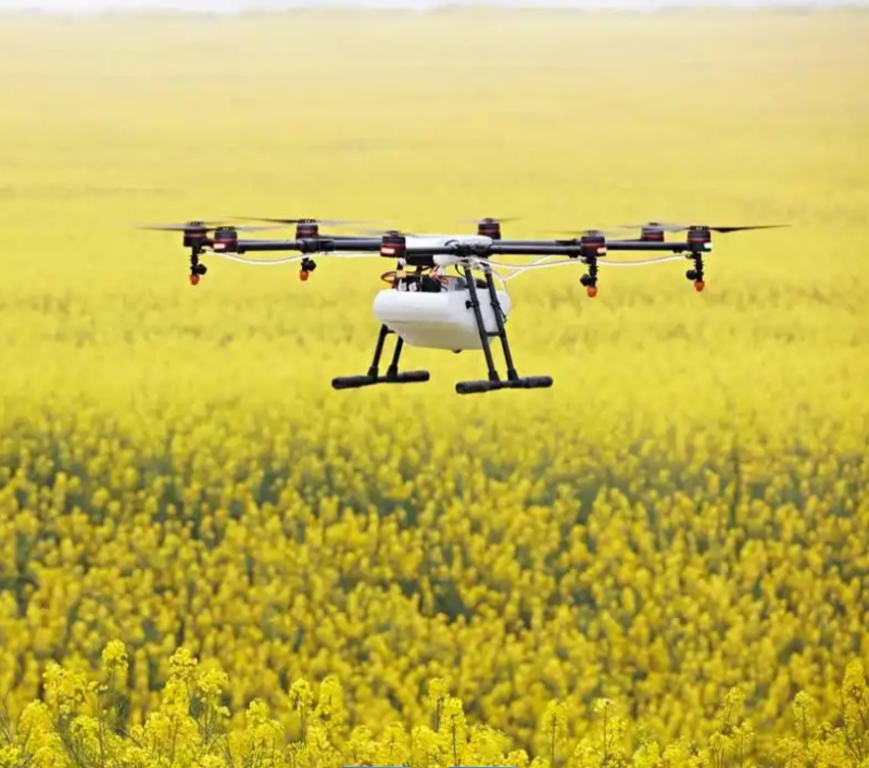 ΢�Ž�ͼ_20250214152112