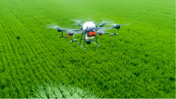 2025���й�ũ��ֲ�����˻����Ҿ���������г�������Ƚ���