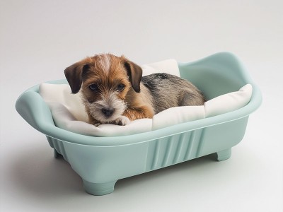 è�ѹ��ѳ��ﴲ��ģע��